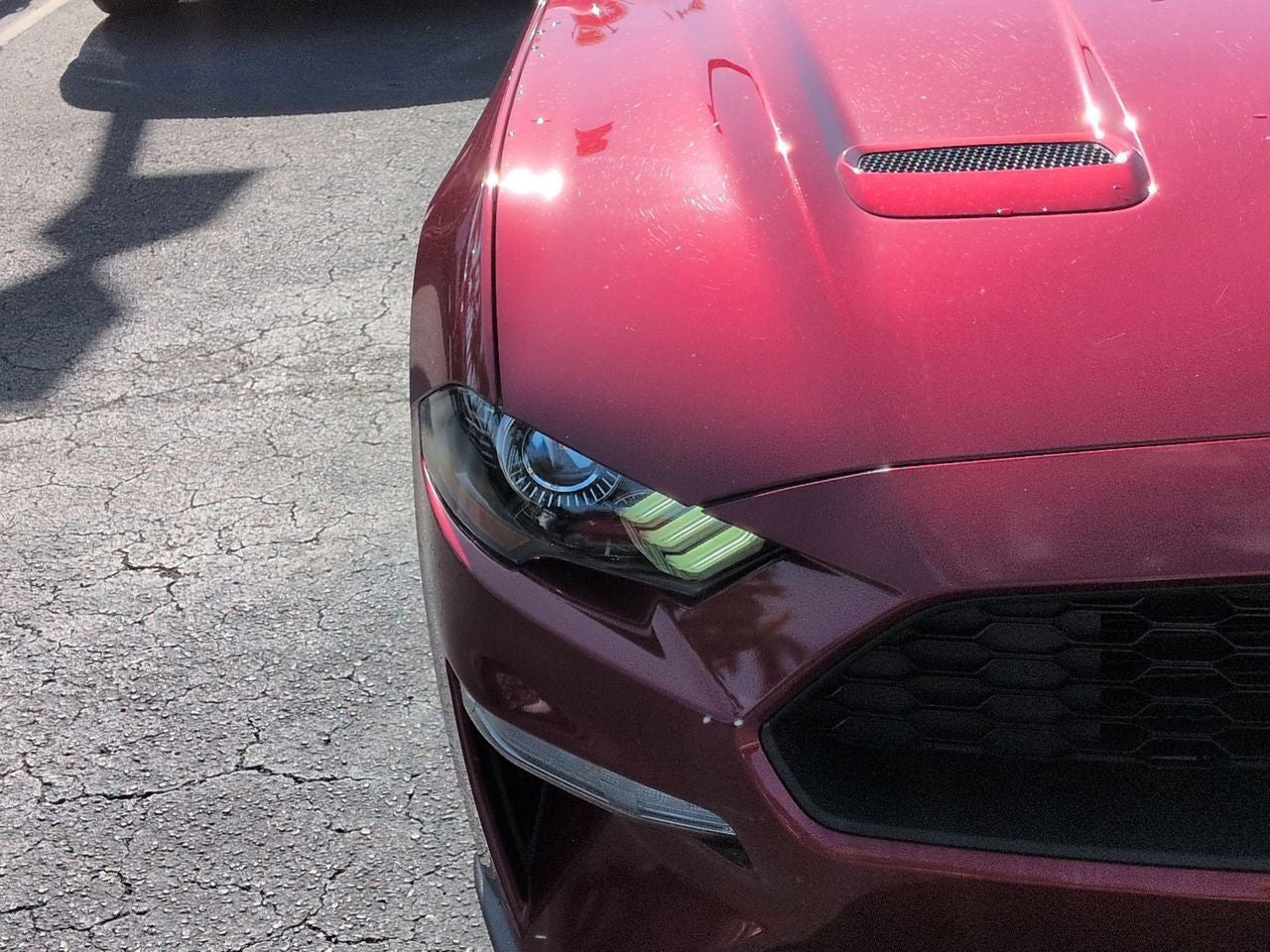 2019 Ford Mustang EcoBoost