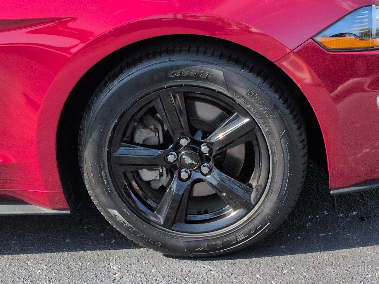 2019 Ford Mustang EcoBoost