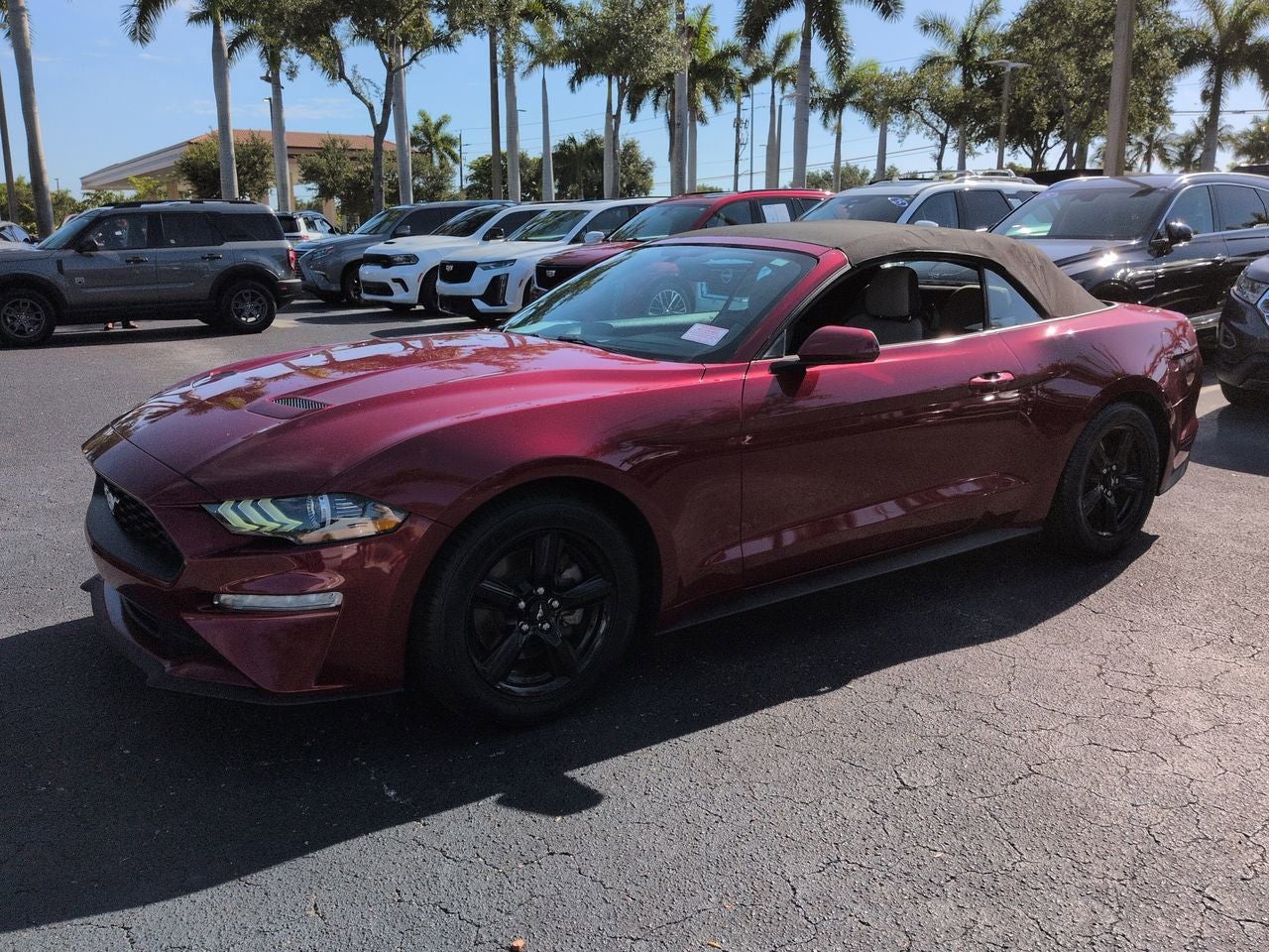 2019 Ford Mustang EcoBoost