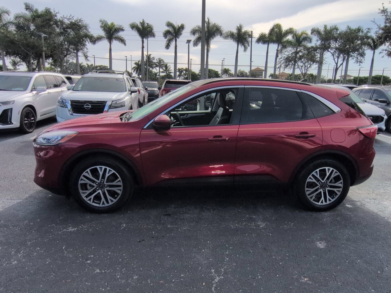 2021 Ford Escape Hybrid SEL