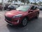 2021 Ford Escape Hybrid SEL