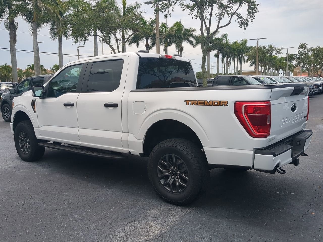 2021 Ford F-150 Tremor