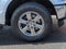 2019 Ford F-150 XLT 3.5 ECOBOOST