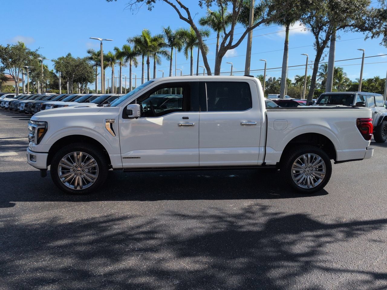 2025 Ford F-150 Platinum