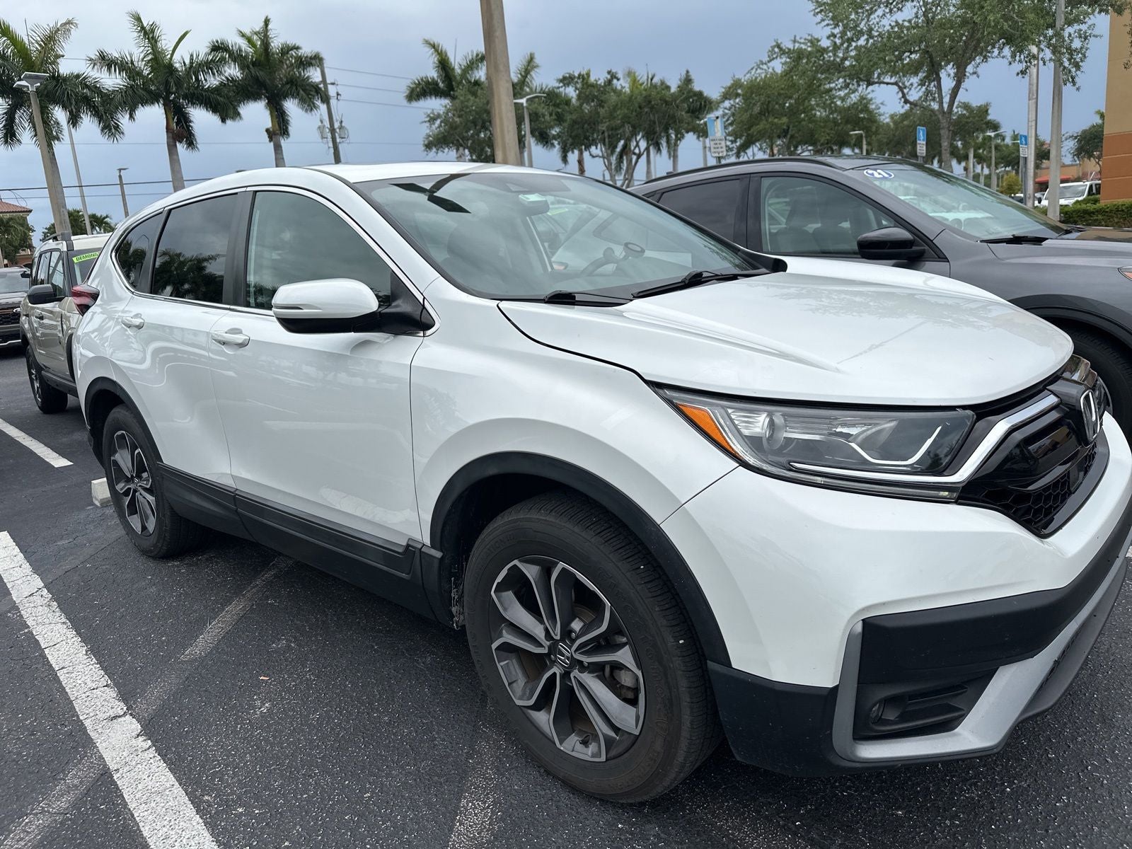 2022 Honda CR-V EX AWD's photo