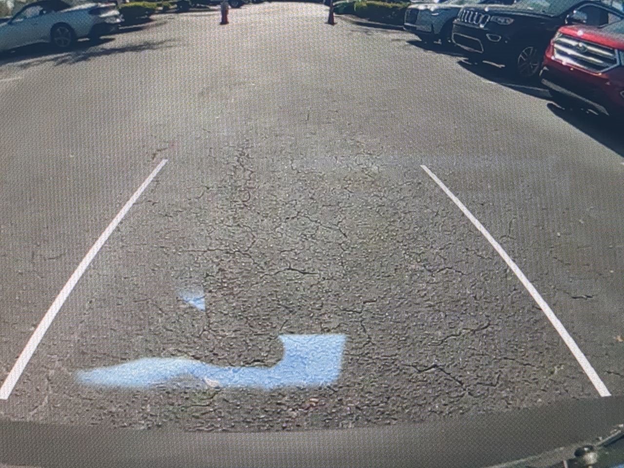 2020 Tesla Model 3 Performance