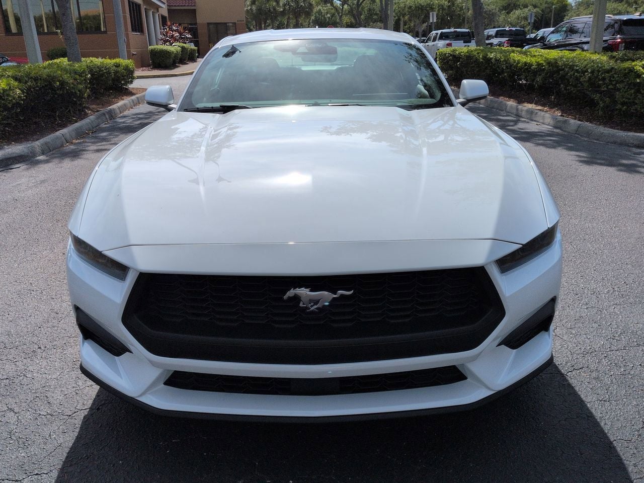 2026 Ford Mustang EcoBoost® Fastback