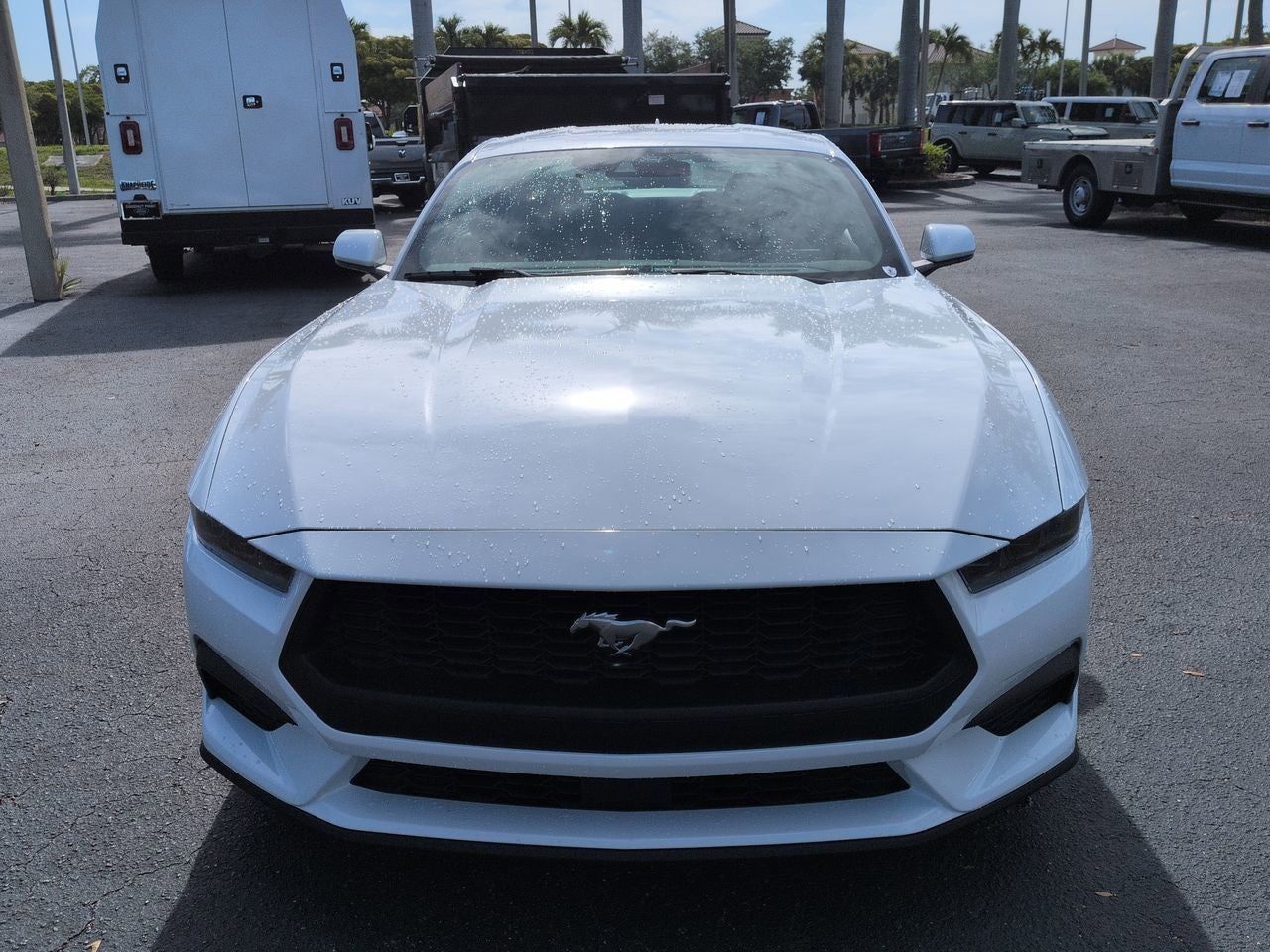 2026 Ford Mustang EcoBoost® Fastback