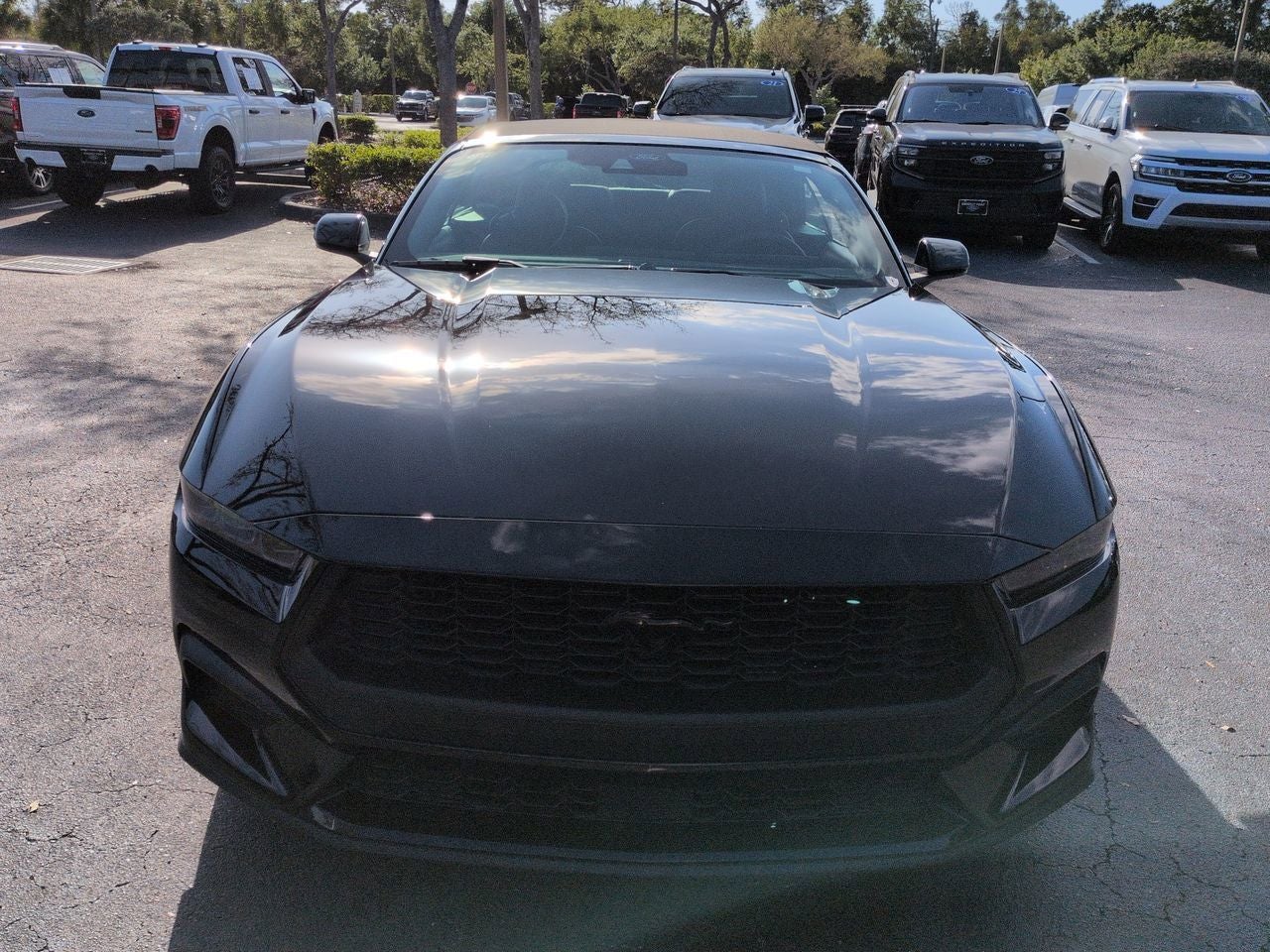 2026 Ford Mustang EcoBoost