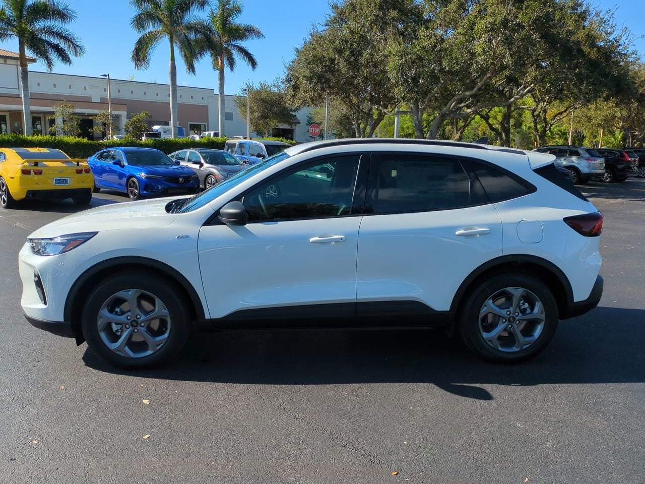 2026 Ford Escape ST-Line